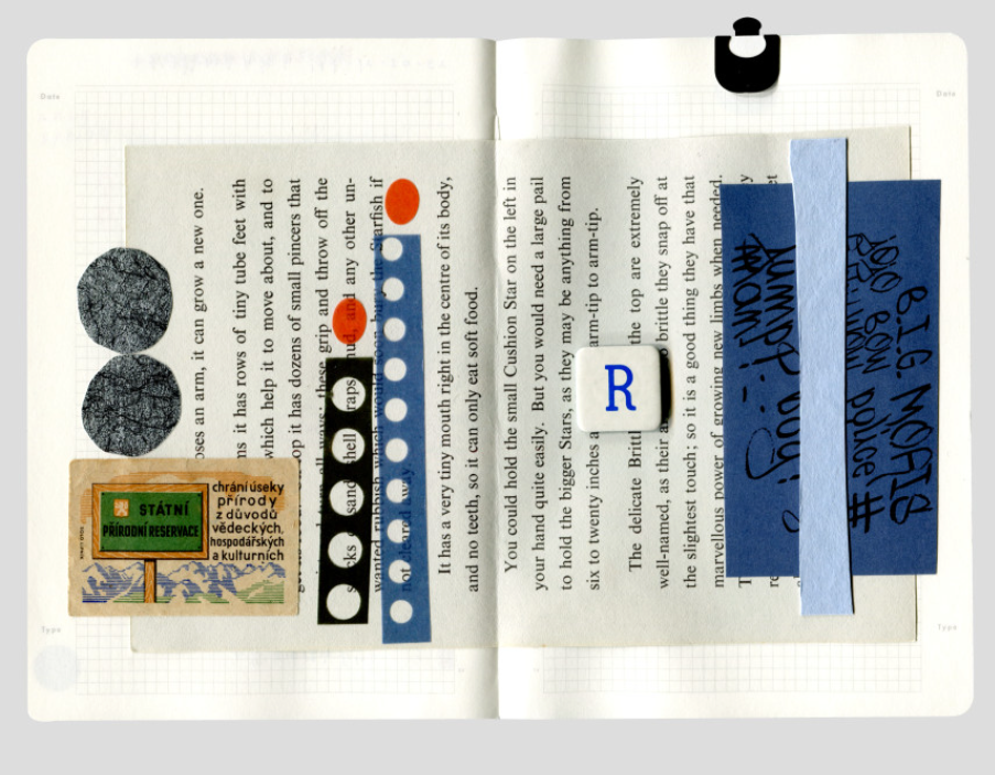 Analogue Keeper - Logue book A6(3 Types)