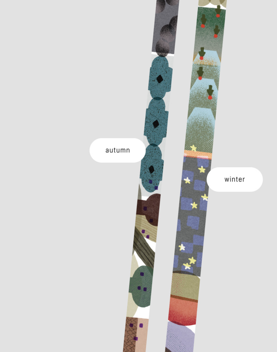 Analogue Keeper - Colorchip Masking Tape Washi Tape(2 Types)