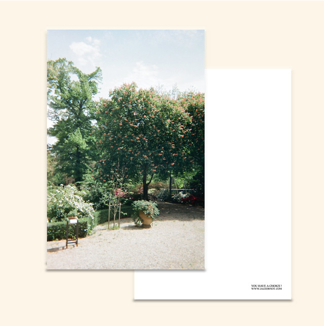 JAZZ OR NOT - Jardin de Paris Postcard