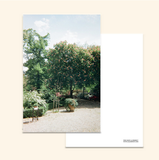 JAZZ OR NOT - Jardin de Paris Postcard