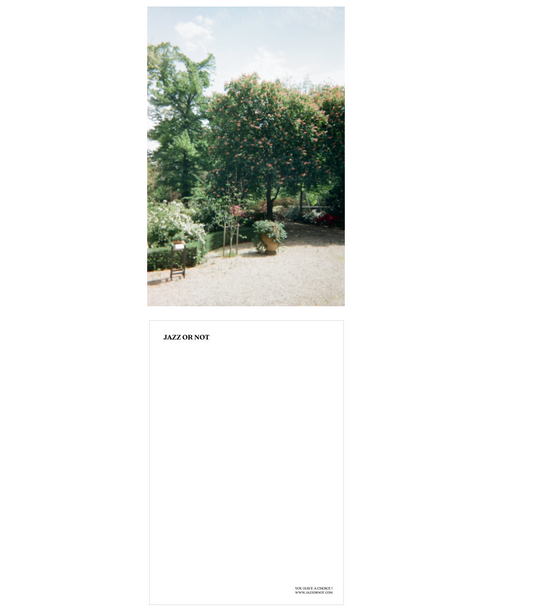 JAZZ OR NOT - Jardin de Paris Postcard