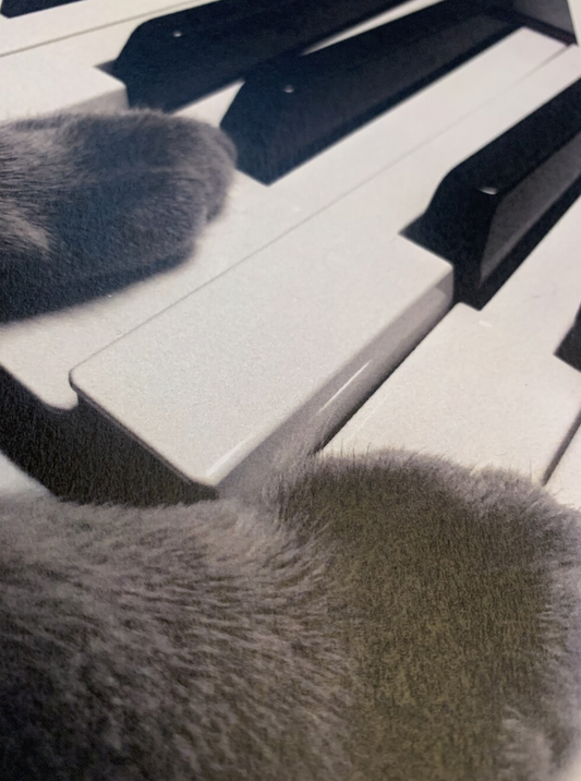 JAZZ OR NOT - Cat Bebop Postcard