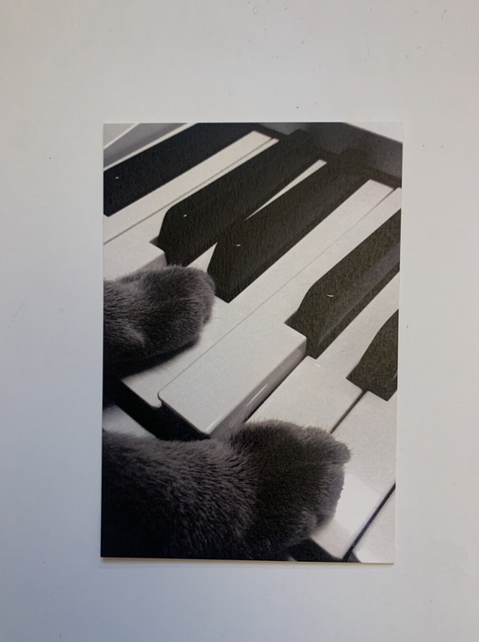JAZZ OR NOT - Cat Bebop Postcard