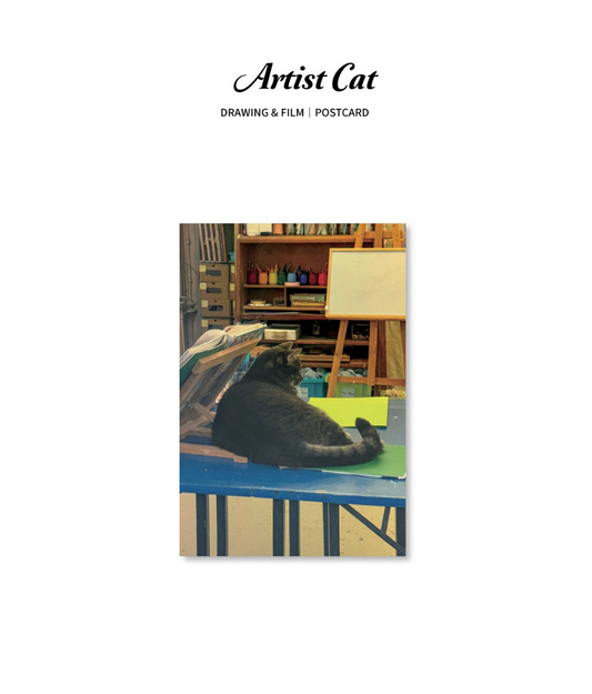 JAZZ OR NOT - Artist Cat Postcard