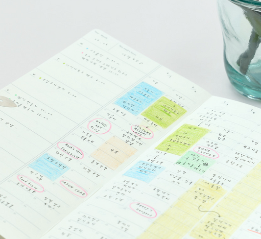 Analogue Keeper - Space Diary 6 month (2 Colors)